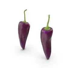 images (9).webp