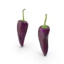 images (9).webp