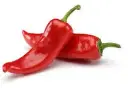 Piment de cayenne